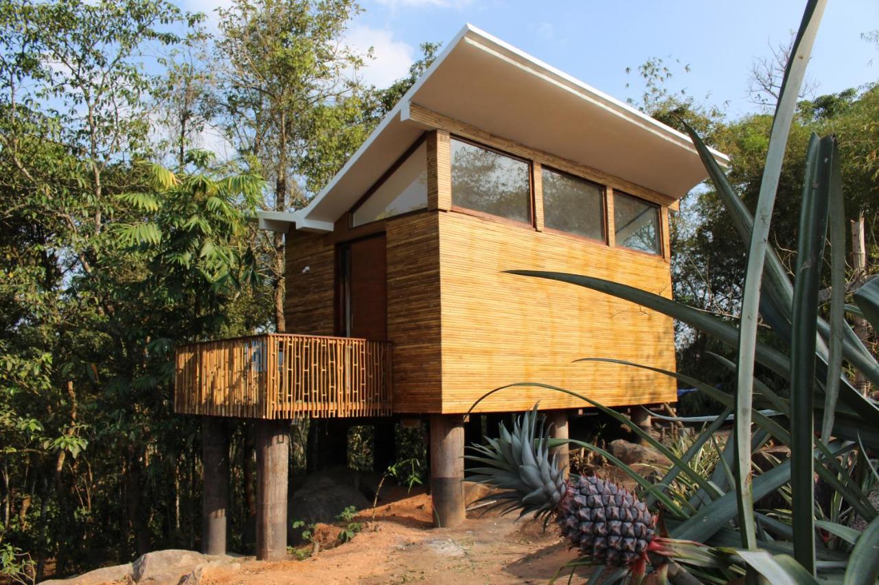 Uravu Bamboo Grove Resort 와야나드 외부 사진